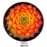 Sempervivum Gold Nugget com uma mistura de tons vibrantes de vermelho, verde e dourado.